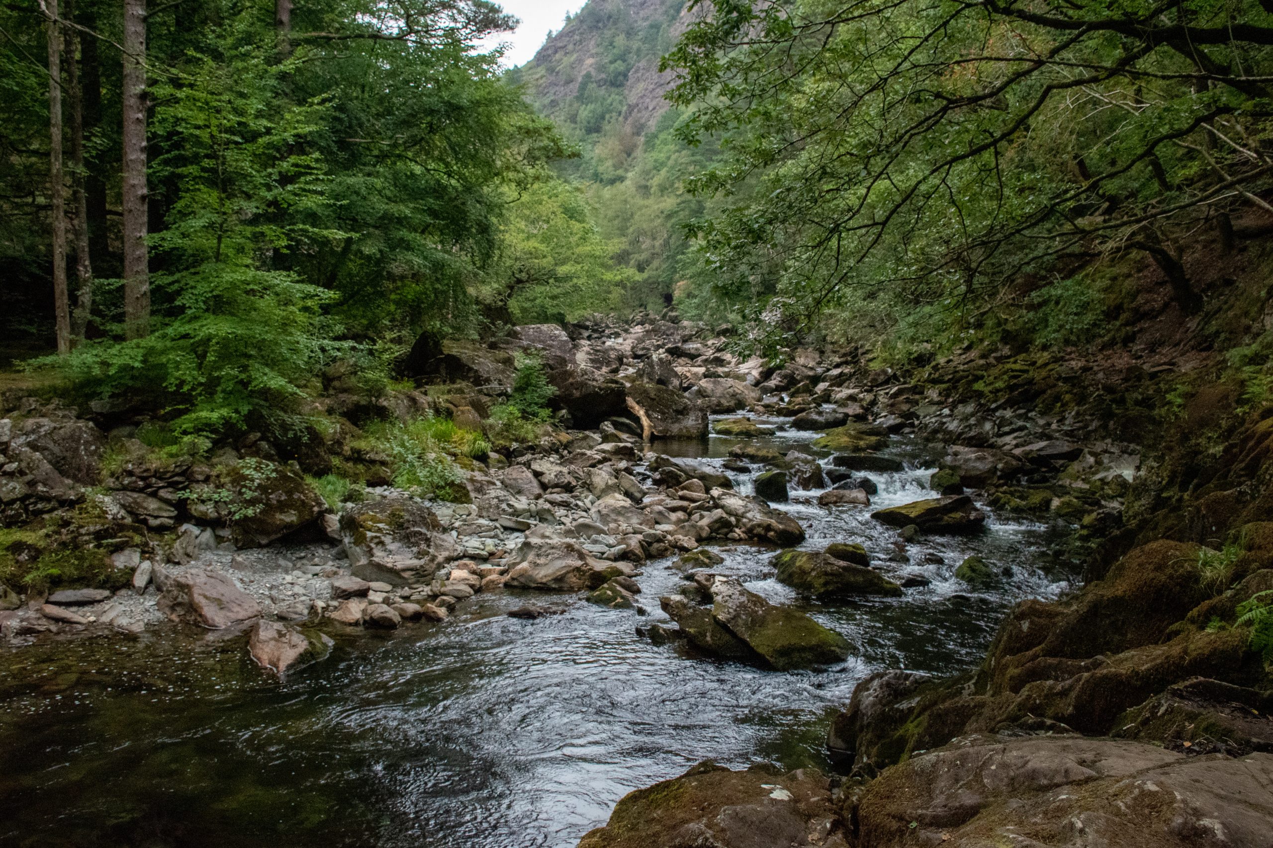 Uncovering The Charm of Beddgelert