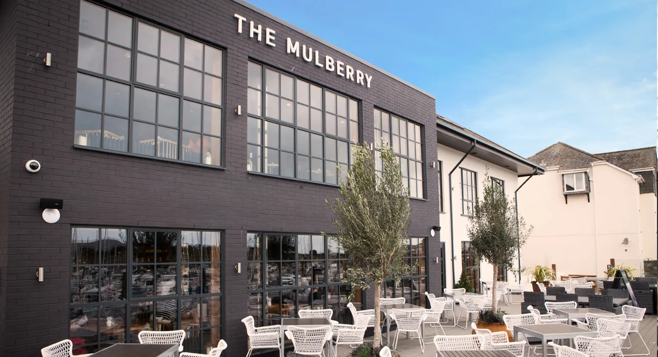 The Mulberry