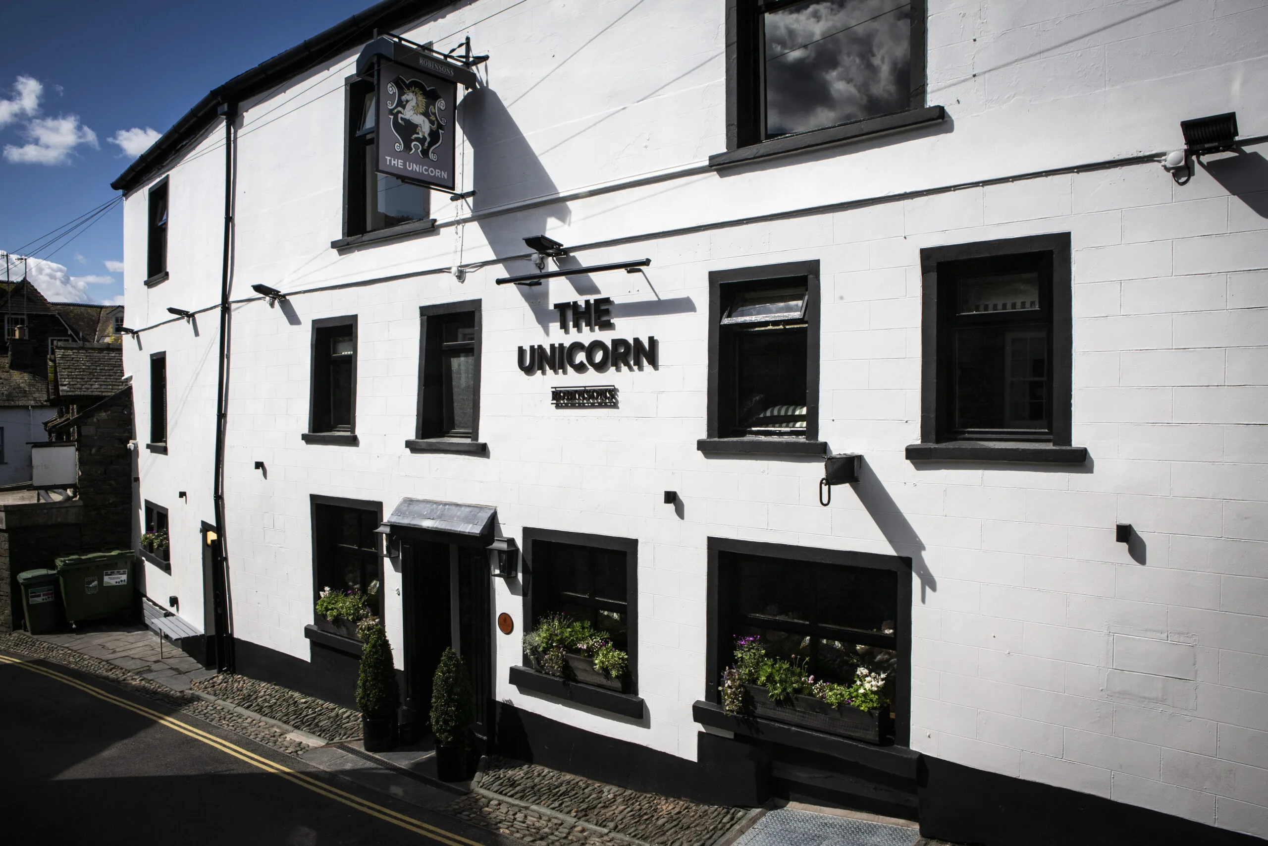 The Unicorn