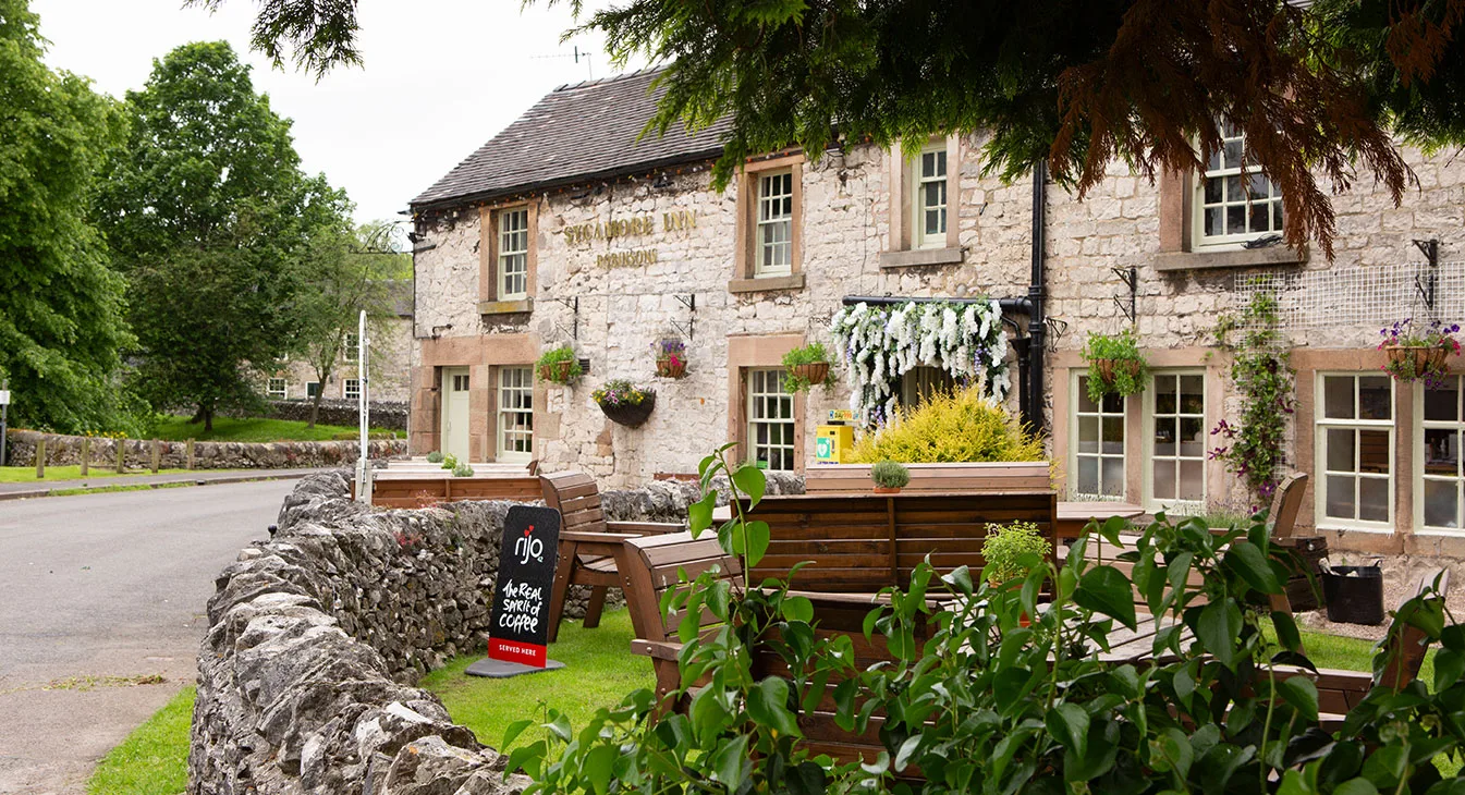 The Sycamore