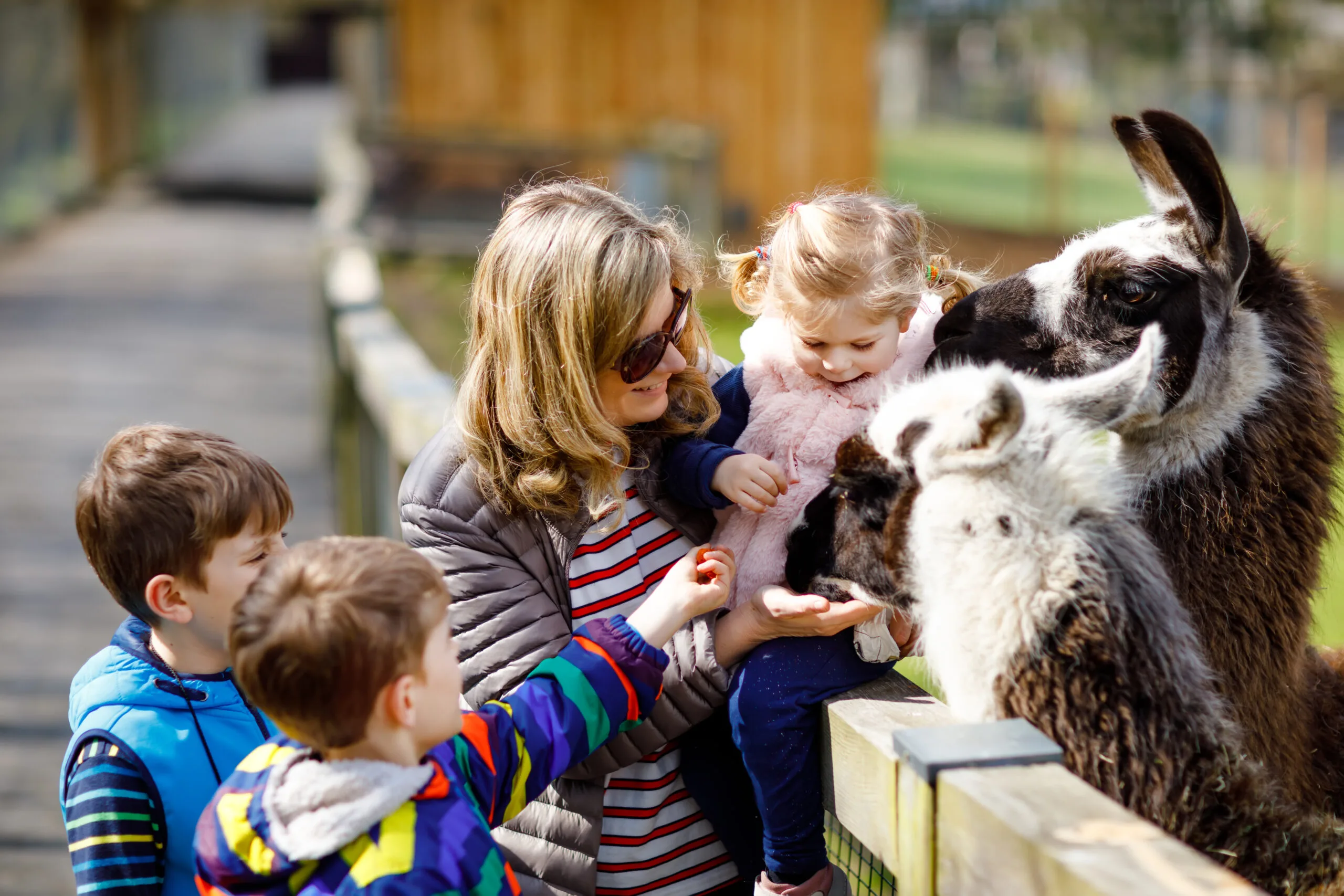 Things to do this February half term