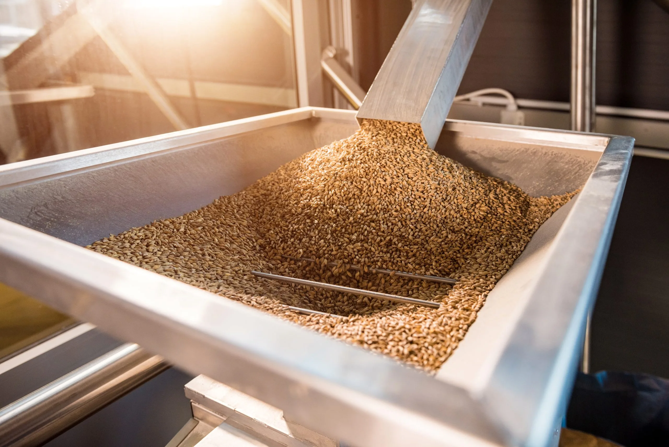 Brewing Sustainability: From Grain to Feed