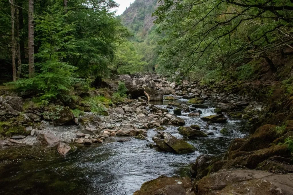 Uncovering The Charm of Beddgelert