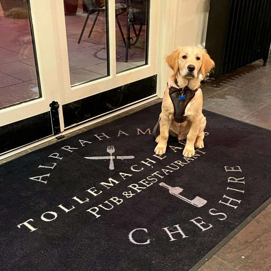 Dexter at the Tollemache Arms