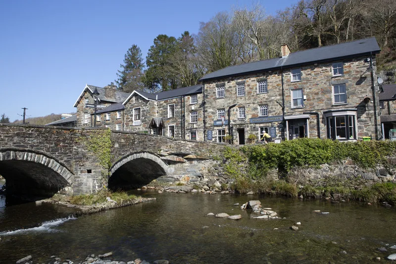 Prince Llewllyn