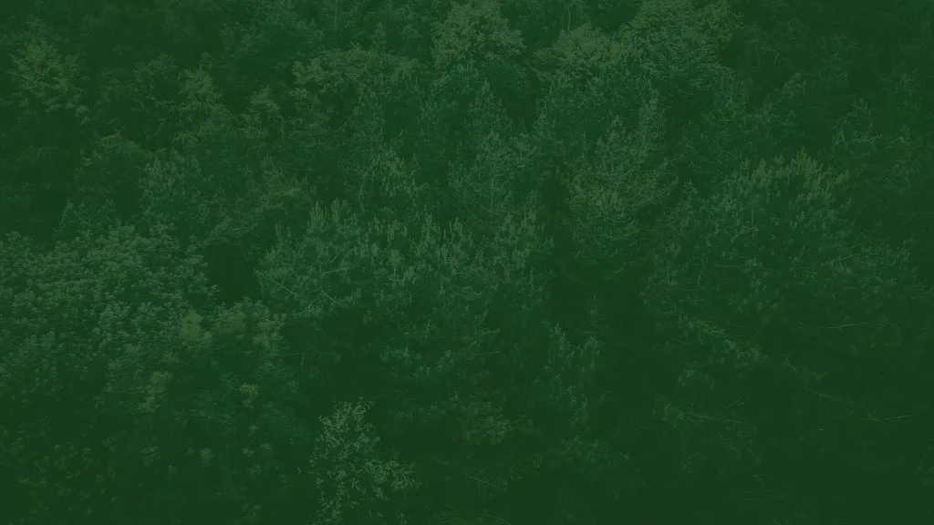 sustainability